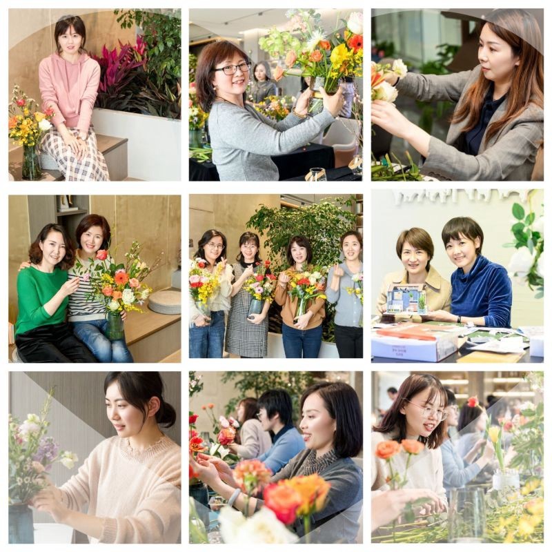 春光致敬  优美如你 -  bevictor伟德官网
